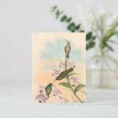Gould Hummingbirds and Orchids Postkarte (Stehend Vorderseite)