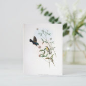 Gould - Jericho Sunbird Postkarte (Stehend Vorderseite)