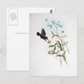 Gould - Jericho Sunbird Postkarte (Vorne/Hinten)