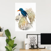 Gould Kingfisher Birds Poster (Heimbüro)