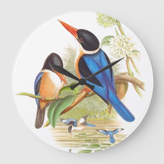 Gould Kingfisher Birds Wall Clock Große Wanduhr (Vorderseite)