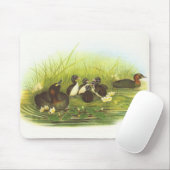 Gould - kleiner Grebe - Podiceps ruficollis Mousepad (Mit Mouse)