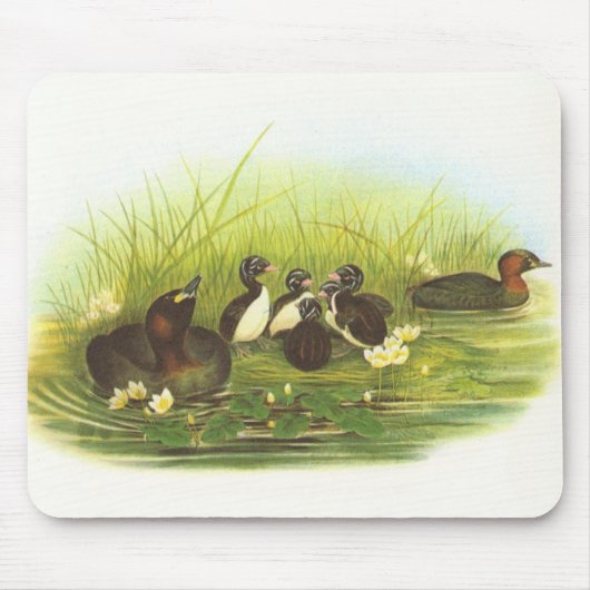 Gould - kleiner Grebe - Podiceps ruficollis Mousepad (Vorne)