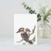 Gould Kookaburra Australiana Ankündigungspostkarte (Stehend Vorderseite)