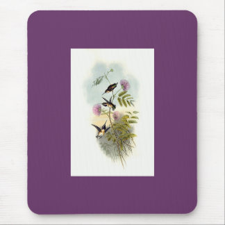 Gould - Kurz-Angebundener Woodstar Kolibri Mousepad