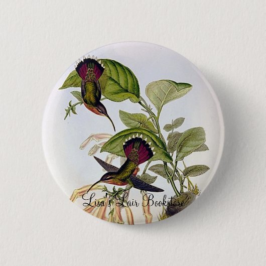 Gould - Lanceolate Einsiedler-Kolibri Button (Vorderseite)