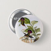 Gould - Lanceolate Einsiedler-Kolibri Button (Vorne & Hinten)