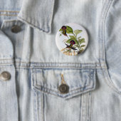 Gould - Lanceolate Einsiedler-Kolibri Button (Beispiel)