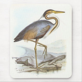Gould - lila Reiher - Ardea purpurea Mousepad