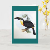 Gould - Osculant Toucan Karte (Gelbe Blume)