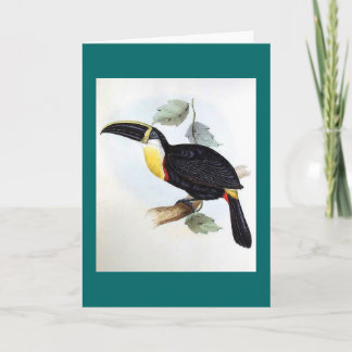 Gould - Osculant Toucan Karte