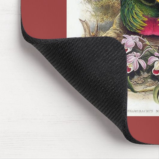 Gould - Quetzal Mousepad (Ecke)