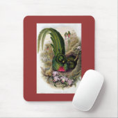 Gould - Quetzal Mousepad (Mit Mouse)