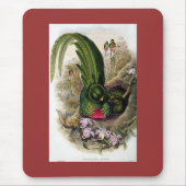 Gould - Quetzal Mousepad (Vorne)