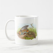 Gould - Rebhuhn - Perdix Perdix BuchhandlungPromo Kaffeetasse (Links)