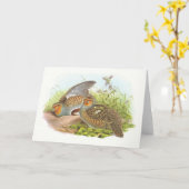 Gould - Rebhuhn - Perdix Perdix Karte (Gelbe Blume)