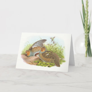 Gould - Rebhuhn - Perdix Perdix Karte