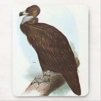 Gould - schwarzer Geier - Aegypius monachus Mousepad