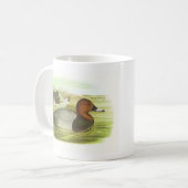 Gould - Tafelente - Aythya ferina Kaffeetasse (Vorderseite Links)