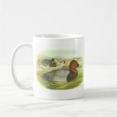 Gould - Tafelente - Aythya ferina Kaffeetasse (Links)