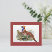 Gould - Temmincks Horned Pheasant Postkarte (Stehend Vorderseite)