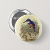 Gould - Vier-Farbiger Eisvogel-BuchhandlungPromo Button (Vorne & Hinten)