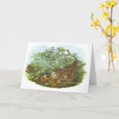 Gould - Waldschnepfe - Scolopax rusticola Karte (Gelbe Blume)