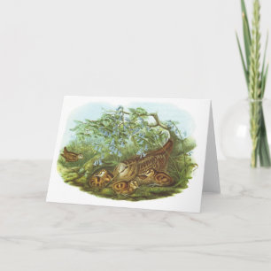 Gould - Waldschnepfe - Scolopax rusticola Karte