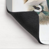 Gould - Weiß-Winged Elster Mousepad (Ecke)