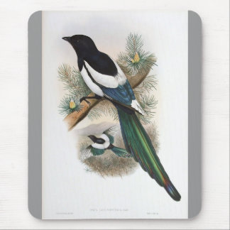 Gould - Weiß-Winged Elster Mousepad