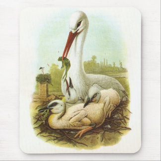 Gould - White Stork - Ciconia ciconia Mousepad