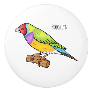 Gouldian finch bird Cartoon Illustration Keramikknauf