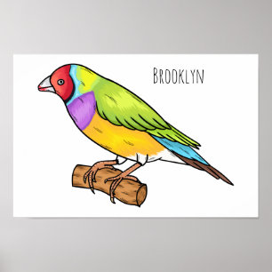 Gouldian finch bird Cartoon Illustration Poster