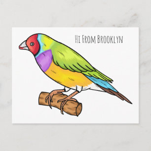 Gouldian finch bird cartoon illustration postkarte
