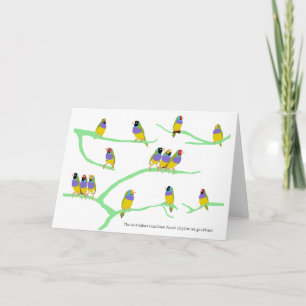 Gouldian Finch (Erythrura gouldiae) Karte