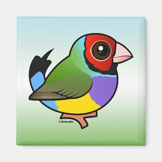 Gouldian Finch Magnet (Vorne)