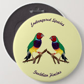 ~ Gouldian Finch ~ Original Art ~ Button (Vorne & Hinten)