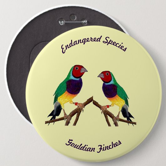 ~ Gouldian Finch ~ Original Art ~ Button (Vorne & Hinten)
