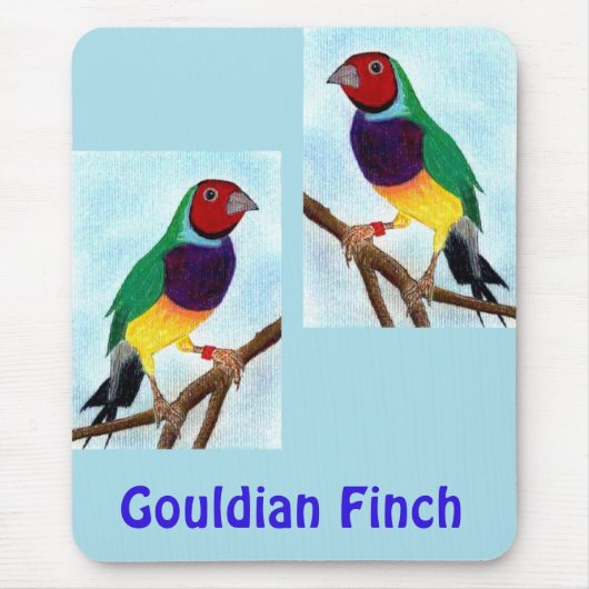 ~ Gouldian Finch ~ Original Art ~ Maus-Pad Mousepad (Vorne)