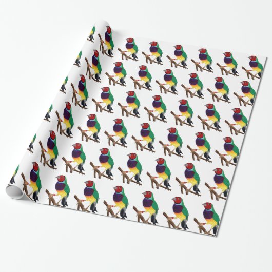 ~ Gouldian Finch ~ Original Kunst ~ Geschenkpapier (Ungerollt)
