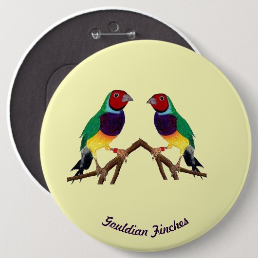 ~ Gouldian Finch ~ Personalisiert ~ Button (Vorne & Hinten)