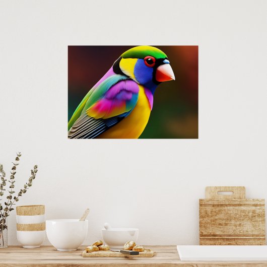Gouldian Finch Poster (Küche)