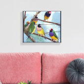Gouldian Finches Leinwanddruck (Insitu (Wohnzimmer))