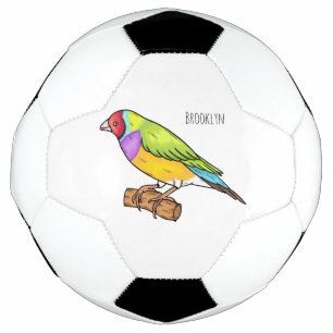 Gouldian-Fink Cartoon-Illustration Fußball