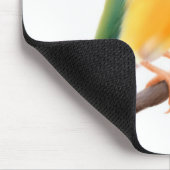 Gouldian Fink Mousepad (Ecke)