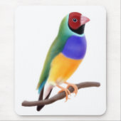 Gouldian Fink Mousepad (Vorne)