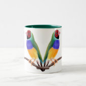 Gouldian Fink-Tasse Zweifarbige Tasse (Mittel)