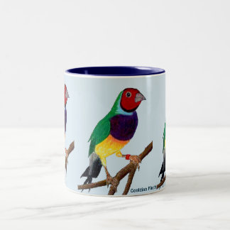 ~ Gouldian Fink ~ ursprüngliches Kunst ~ Zweifarbige Tasse