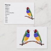 Gouldian Fink-Visitenkarten Visitenkarte (Vorne/Hinten)