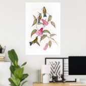 Goulds Hummingbirds Poster (Heimbüro)